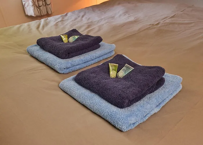 Chalet Bella Op De Veluwe Max 2 Volwassene Beekbergen