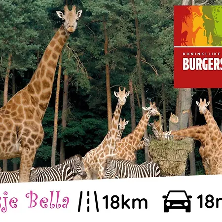 Bella Op De Veluwe Max 2 Volwassene Chalet *