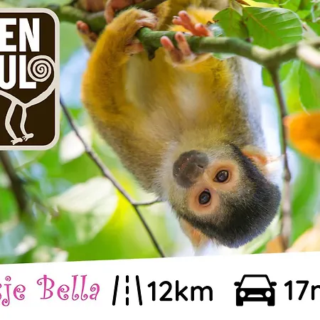 Bella Op De Veluwe Max 2 Volwassene *