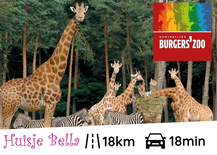 Bella Op De Veluwe Max 2 Volwassene Chalet *