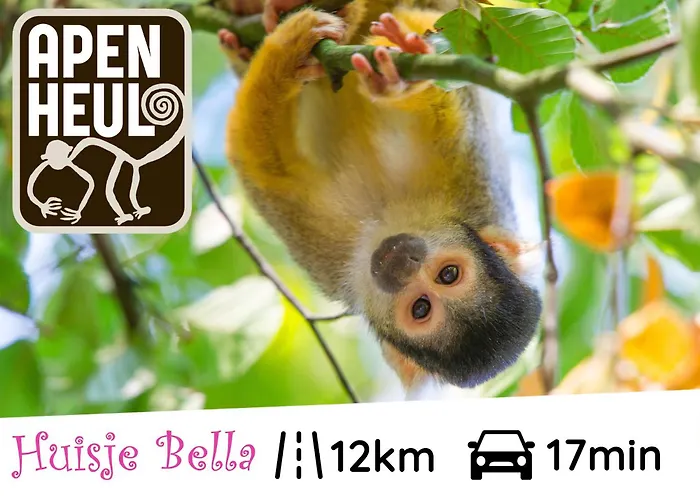 Bella Op De Veluwe Max 2 Volwassene *